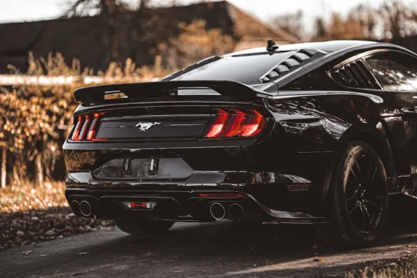 Gomblingo Casino Application Android/iOS